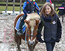Badyhoeve is een terrein dat tot 3kinderen en hun pony's met de hond Djackson behoort.