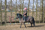 Badyhoeve is een terrein dat tot 3kinderen en hun pony's met de hond Djackson behoort.
