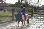 Badyhoeve is een terrein dat tot 3kinderen en hun pony's met de hond Djackson behoort.