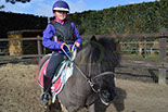 Badyhoeve is een terrein dat tot 3kinderen en hun pony's met de hond Djackson behoort.