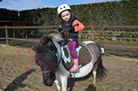 Badyhoeve is een terrein dat tot 3kinderen en hun pony's met de hond Djackson behoort.