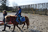 Badyhoeve is een terrein dat tot 3kinderen en hun pony's met de hond Djackson behoort.