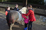 Badyhoeve is een terrein dat tot 3kinderen en hun pony's met de hond Djackson behoort.
