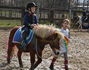 Badyhoeve is een terrein dat tot 3kinderen en hun pony's met de hond Djackson behoort.