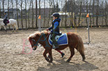 Badyhoeve is een terrein dat tot 3kinderen en hun pony's met de hond Djackson behoort.