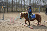 Badyhoeve is een terrein dat tot 3kinderen en hun pony's met de hond Djackson behoort.