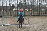 Badyhoeve is een terrein dat tot 3kinderen en hun pony's met de hond Djackson behoort.