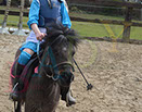 Badyhoeve is een terrein dat tot 3kinderen en hun pony's met de hond Djackson behoort.