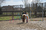 Badyhoeve is een terrein dat tot 3kinderen en hun pony's met de hond Djackson behoort.