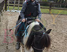 Badyhoeve is een terrein dat tot 3kinderen en hun pony's met de hond Djackson behoort.