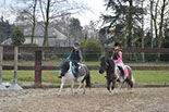 Badyhoeve is een terrein dat tot 3kinderen en hun pony's met de hond Djackson behoort.