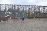 Badyhoeve is een terrein dat tot 3kinderen en hun pony's met de hond Djackson behoort.