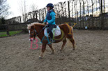 Badyhoeve is een terrein dat tot 3kinderen en hun pony's met de hond Djackson behoort.
