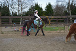Badyhoeve is een terrein dat tot 3kinderen en hun pony's met de hond Djackson behoort.