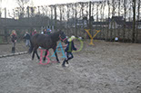 Badyhoeve is een terrein dat tot 3kinderen en hun pony's met de hond Djackson behoort.
