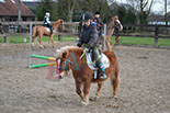 Badyhoeve is een terrein dat tot 3kinderen en hun pony's met de hond Djackson behoort.