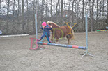 Badyhoeve is een terrein dat tot 3kinderen en hun pony's met de hond Djackson behoort.