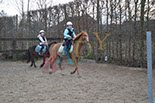 Badyhoeve is een terrein dat tot 3kinderen en hun pony's met de hond Djackson behoort.