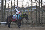 Badyhoeve is een terrein dat tot 3kinderen en hun pony's met de hond Djackson behoort.