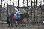 Badyhoeve is een terrein dat tot 3kinderen en hun pony's met de hond Djackson behoort.