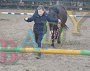 Badyhoeve is een terrein dat tot 3kinderen en hun pony's met de hond Djackson behoort.