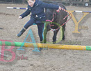 Badyhoeve is een terrein dat tot 3kinderen en hun pony's met de hond Djackson behoort.