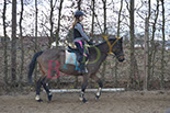 Badyhoeve is een terrein dat tot 3kinderen en hun pony's met de hond Djackson behoort.