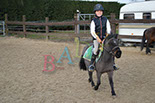 Badyhoeve is een terrein dat tot 3kinderen en hun pony's met de hond Djackson behoort.