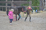 Badyhoeve is een terrein dat tot 3kinderen en hun pony's met de hond Djackson behoort.