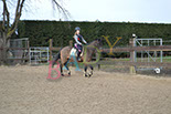 Badyhoeve is een terrein dat tot 3kinderen en hun pony's met de hond Djackson behoort.