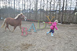 Badyhoeve is een terrein dat tot 3kinderen en hun pony's met de hond Djackson behoort.