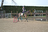 Badyhoeve is een terrein dat tot 3kinderen en hun pony's met de hond Djackson behoort.