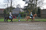 Badyhoeve is een terrein dat tot 3kinderen en hun pony's met de hond Djackson behoort.