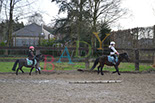 Badyhoeve is een terrein dat tot 3kinderen en hun pony's met de hond Djackson behoort.