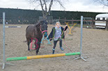 Badyhoeve is een terrein dat tot 3kinderen en hun pony's met de hond Djackson behoort.