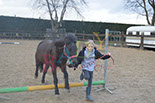 Badyhoeve is een terrein dat tot 3kinderen en hun pony's met de hond Djackson behoort.