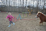 Badyhoeve is een terrein dat tot 3kinderen en hun pony's met de hond Djackson behoort.