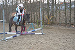 Badyhoeve is een terrein dat tot 3kinderen en hun pony's met de hond Djackson behoort.