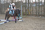 Badyhoeve is een terrein dat tot 3kinderen en hun pony's met de hond Djackson behoort.