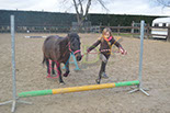 Badyhoeve is een terrein dat tot 3kinderen en hun pony's met de hond Djackson behoort.