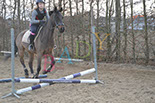 Badyhoeve is een terrein dat tot 3kinderen en hun pony's met de hond Djackson behoort.