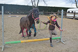 Badyhoeve is een terrein dat tot 3kinderen en hun pony's met de hond Djackson behoort.