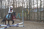 Badyhoeve is een terrein dat tot 3kinderen en hun pony's met de hond Djackson behoort.