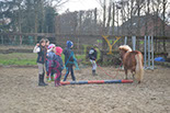 Badyhoeve is een terrein dat tot 3kinderen en hun pony's met de hond Djackson behoort.