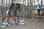 Badyhoeve is een terrein dat tot 3kinderen en hun pony's met de hond Djackson behoort.
