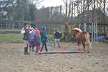 Badyhoeve is een terrein dat tot 3kinderen en hun pony's met de hond Djackson behoort.