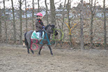 Badyhoeve is een terrein dat tot 3kinderen en hun pony's met de hond Djackson behoort.