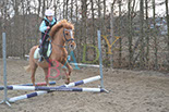 Badyhoeve is een terrein dat tot 3kinderen en hun pony's met de hond Djackson behoort.