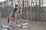 Badyhoeve is een terrein dat tot 3kinderen en hun pony's met de hond Djackson behoort.