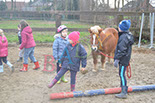 Badyhoeve is een terrein dat tot 3kinderen en hun pony's met de hond Djackson behoort.
